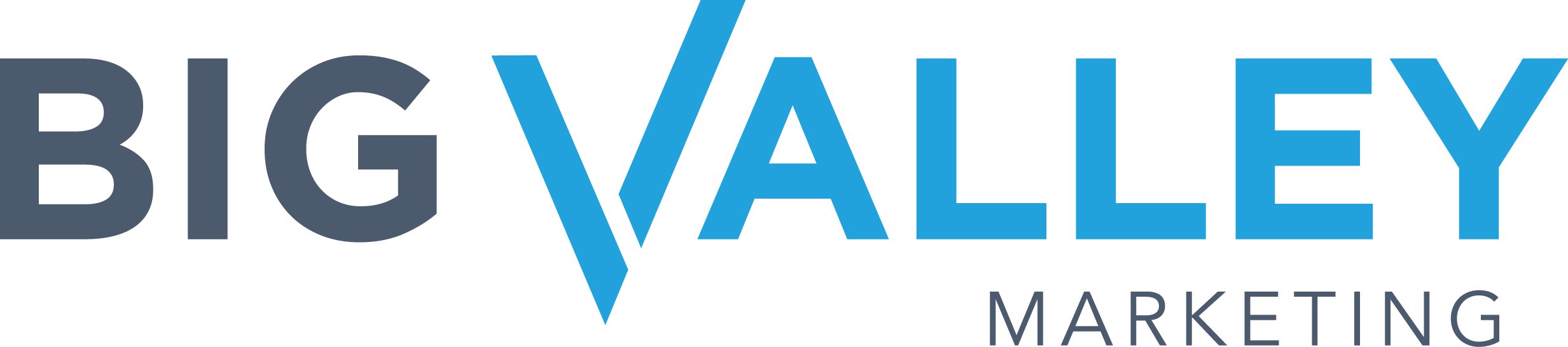 Big Valley Marketing logo